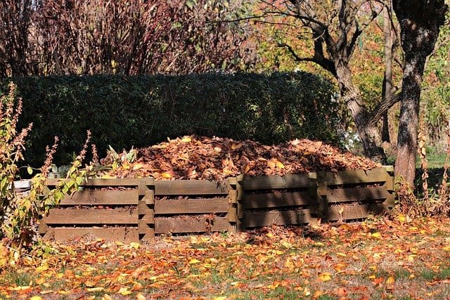 Kompost a vermikompostér: jak ho založit a používat?
