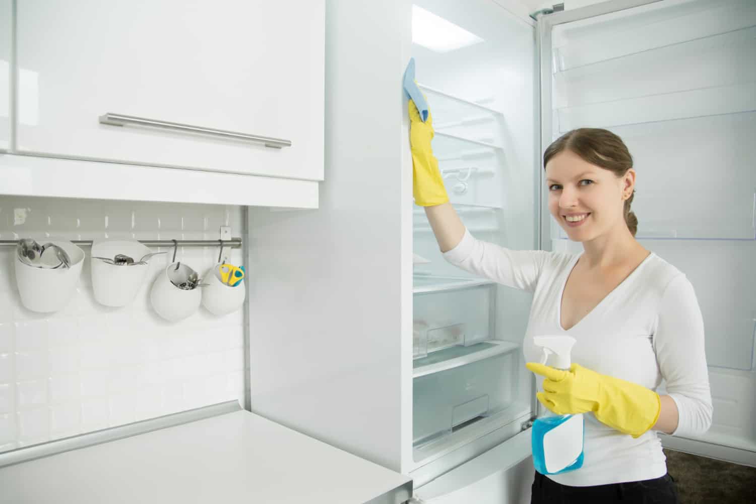 jak vyčistit lednici