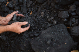 Prodej uhlí online: Jak najít nejlepší ceny a dodavatele
