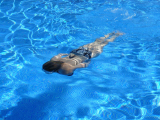 pH v bazénu a vířivce: Optimální hodnoty a jak je snížit či zvýšit